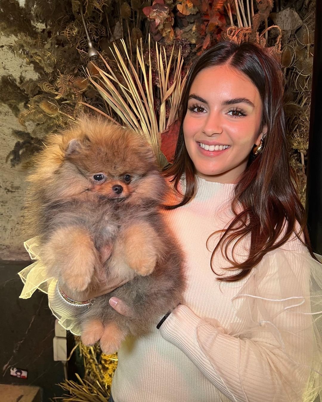Five Vet-Backed Health Tests Ethical Pom Breeders Should Use