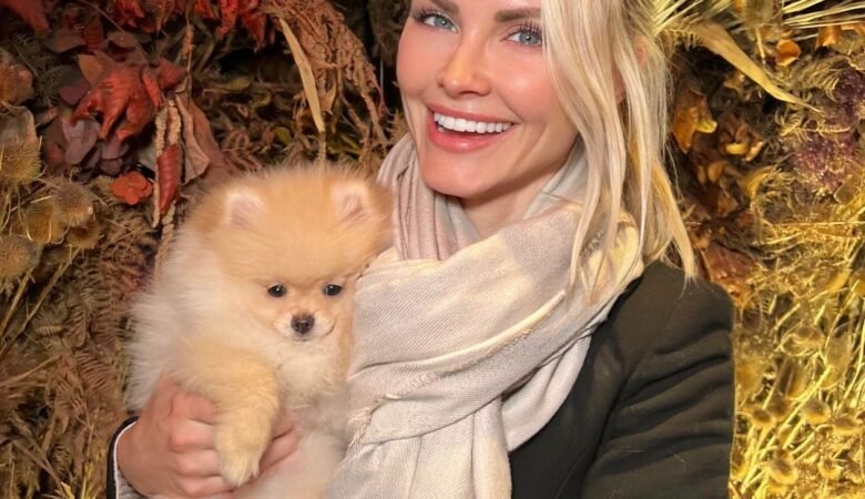 Dog Vaccinations Timeline for Pomeranian Puppies