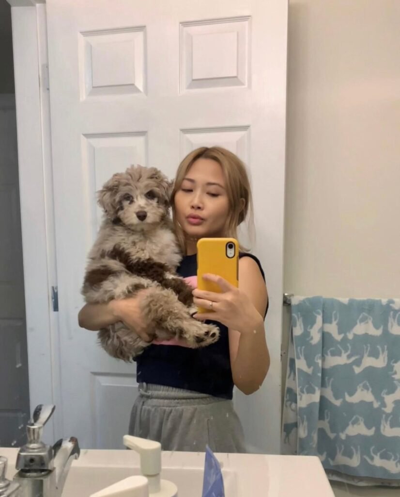 Are Golden Doodle puppies hypoallergenic