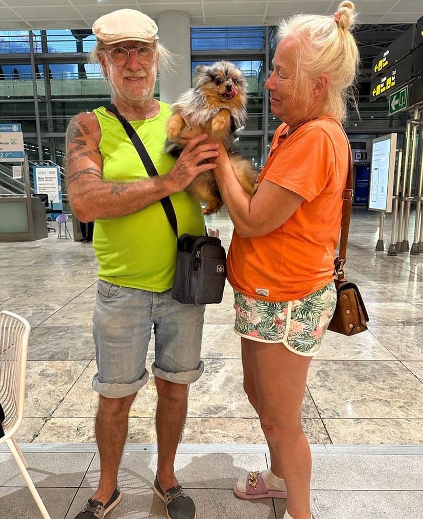 Pet Friendly Travel Tips for Pomeranian Owners